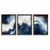 Wallity slika TUN147, 3 dijela, 70 x 50 x 3 cm