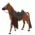 Moxie Horse Riding Club - Konj Bingo 509929