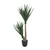 MID.YOU Umetna Rastlina Yucca