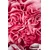 CONCEPTUM HYPNOSE Tepih (160x230) WOOKECE085