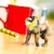 Safari Mandril