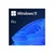 DSP Windows 11 Professional 64bit, angleški