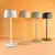 Zuma Line ETLED-658-GR - LED punjiva lampa POCO, prigušiva, LED/2W/1200 mAh IP44, zelena