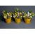 Lilium uskršnji aranžman zeka/ pile precnik 19*visina 24cm,536425