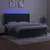 Vidaxl Box spring postelja z vzmetnico LED tem. zelena 180x200cm žamet