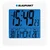 BLAUPUNKT radioura CL02WH