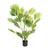 MID.YOU Umetna Rastlina Areca I