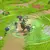 SWITCH Life in Willowdale: Farm Adventures