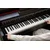 CASIO AP-550BN NEW CELVIANO Brown digitalni klavir komplet