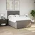 Vidaxl Box spring postelja z vzmetnico taupe 160x200 cm blago