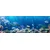 Slika tropske ribe - 90x30