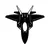 Wallity Zidna dekoracija F-22 RAPTOR, 57 x 56 cm, Crna