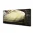 tulup.si Slika na platnu Stopnice 120x60 cm