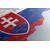 Slika zemljevid Slovaške z državnim grbom - 60x30