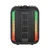 NDR Bluetooth zvučnik NDR-102A, 40W, 12, mikrofon i stalak, Crni