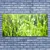 tulup.si Slika na platnu Grass nature rastlin 140x70 cm
