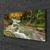 tulup.si Slika na platnu Forest slap narava 100x50 cm
