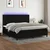 Vidaxl Box spring postelja z vzmetnico LED črna 200x200 cm blago