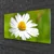 tulup.si Steklena slika Daisy rastlin narava 125x50 cm 4 obešalnika
