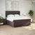 Vidaxl Box spring postelja z vzmetnico temno rjava 180x200 cm blago