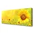 tulup.si Slika na platnu Sončnica flower rastlin 120x60 cm
