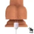 Vibracijski dildo Quintus