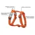 Red Dingo Oprtnik classic brown M
