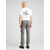 LEVIS Kavbojke 501, siva
