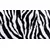 shumee Steklena zaščitna plošča ZA štedilnik 90x52 zebra