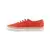 Vans  Authentic  pisana