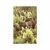 Plakat gozd z napisom Freedom - 40x60 silver
