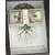 Fortune Frames Ram za slike Pater Familias, Crni