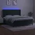 Vidaxl Box spring postelja z vzmetnico LED tem. zelena 160x200cm žamet