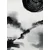 Tapeta črno-bela japonska risba - 196x270