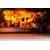 OONI Premium hrastove treske