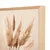 WallXpert uramljena slika na platnu Cc-D-Ah-1010, bež pampas trava na svetloj pozadini, 45 x 60 cm