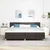 Vidaxl LED Box Spring Postelja Temno rjava 200 x 200 cm blago