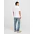 JACK & JONES Muške farmerke 12268258, Plave
