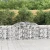 Lučne gabionske košare 9 kom 300x30x80/100 cm pocinčano željezo