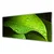 tulup.si Slika na akrilnem steklu Dew drops leaf 125x50 cm 2 obešalnika