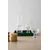 Komplet kozarcev Kosta Boda Moss 420 ml 2-pack