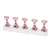 LK - Magnetni stalak za tipse 5/1 PINK