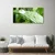 tulup.si Steklena slika Leaf dew drops 125x50 cm 4 obešalnika
