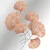 Ginkgo - ACH110-3 Višenamenski Metalni Zidni Dekor