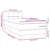 Vidaxl Box Spring postelja z vzmetnico Temno siva 80x220 cm Velvet