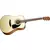 FENDER western kitara DG-6