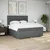VIDAXL Box spring postelja z vzmetnico temno siva 200x200 cm blago