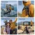 Ulanzi MT55 SnapGo Mini Selfie Stick Tripod (1/4 Mount)