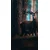 Fototapeta jelen v gozdu - 147x270