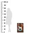 shumee 3D kovinska slika loft blues glasba 40x60 cm